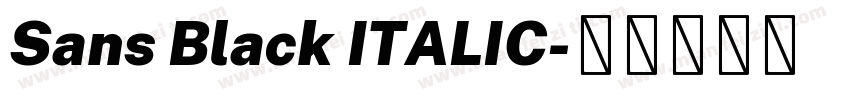 Sans Black ITALIC字体转换